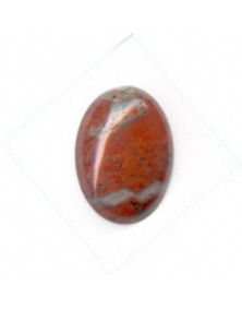 Jaspe brèche 18 x 13 mm