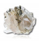 Quartz avec Aiguilles Epidote