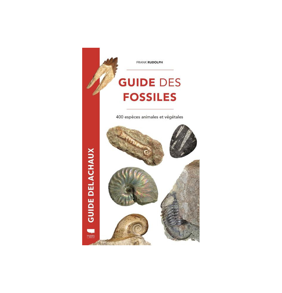 Guide des Fossiles