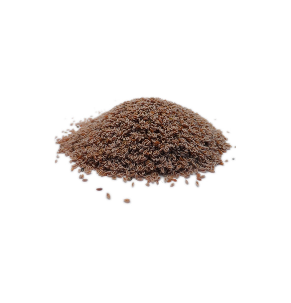 Psyllium blond naturel en poudre