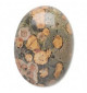 Peau de léopard 8 x 6 mm