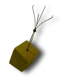 Présentoir de type "Griffe"