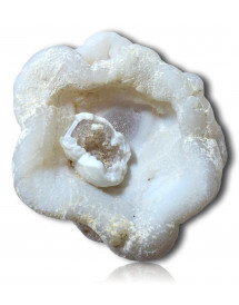 Géode Calcédoine blanche