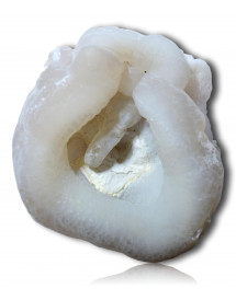 Géode Calcédoine blanche