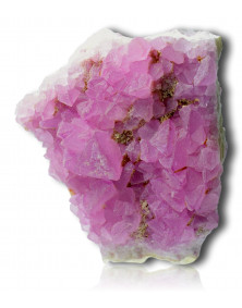 Fluorine rose