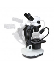 Microscope Euromex Nexius zoom pour la gemmologie