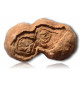 Fossile de Stromatolite du Maroc