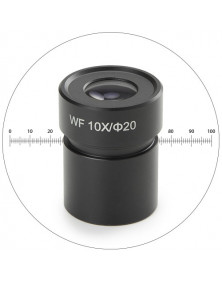 Oculaire novex WF 10x micrometre