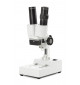 Microscope NOVEX AP2, simple droit AVEC éclairage