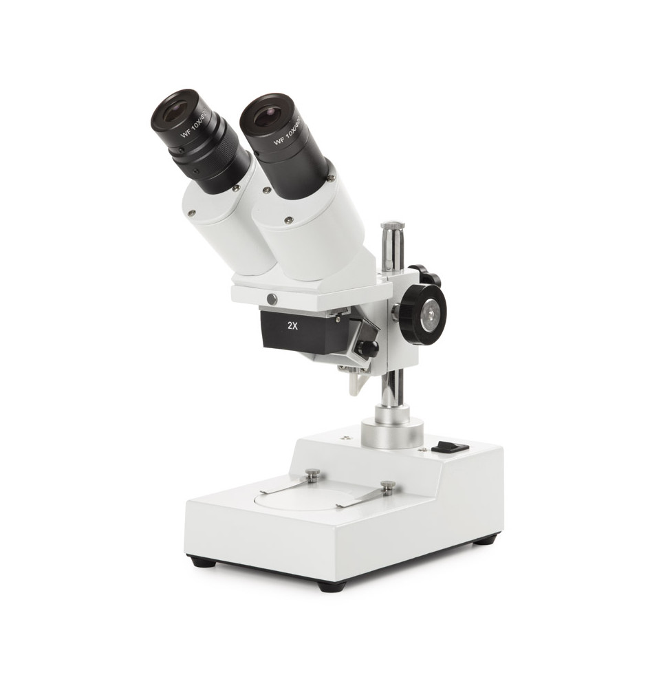 Microscope NOVEX AP4, tête inclinée 45° avec éclairage par incidence