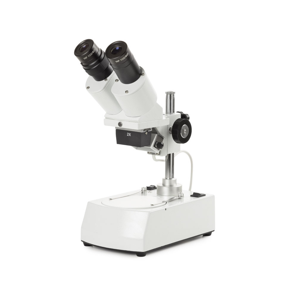 Microscope NOVEX AP5, tête inclinée 45° avec éclairage par incidence + transpare