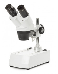  Microscope NOVEX AP7, tête inclinée 45° avec double éclairage, grossissements 10x et 30x
