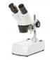 Microscope NOVEX AP8, tête inclinée 45° avec double éclairage, grossissements 20