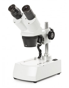 Microscope NOVEX AP7, tête inclinée 45° avec éclairage LED, grossissements 10x et 30x