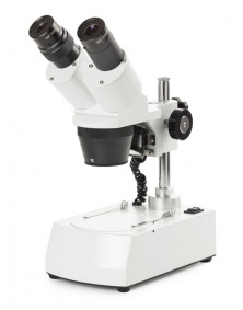 Microscope NOVEX AP7, tête inclinée 45° avec éclairage LED, grossissements 10x e