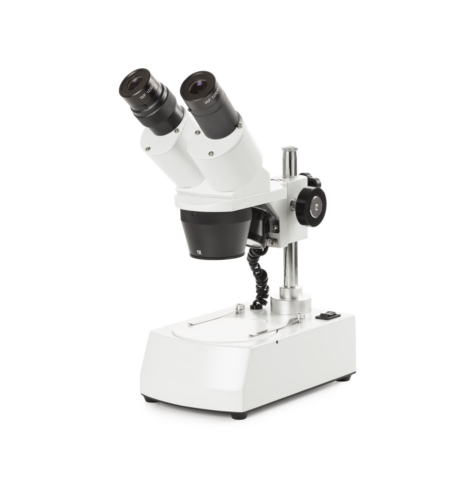 Microscope NOVEX AP7, tête inclinée 45° avec éclairage LED, grossissements 10x e