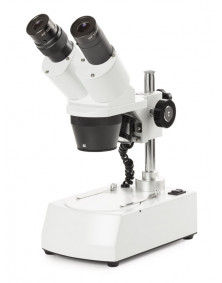 Microscope NOVEX AP8, tête inclinée 45° avec éclairage LED, grossissements 20x et 40x