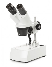 Microscope NOVEX AP8, tête inclinée 45° avec éclairage LED, grossissements 20x e