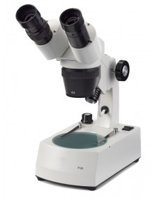 Microscope NOVEX P-20, tête inclinée 45° avec éclairage halogène, grossissements