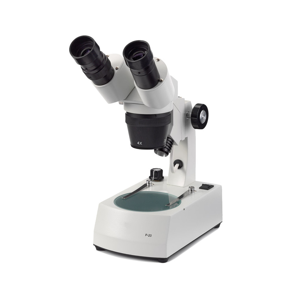 Microscope NOVEX P-20, tête inclinée 45° avec éclairage halogène, grossissements