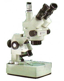 Microscope Euromex zoom gossissement de 7x à 45x