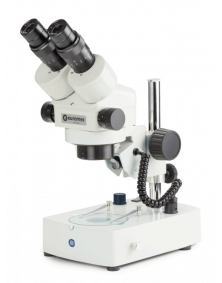 Microscope Euromex zoom gossissement de 7x à 45x
