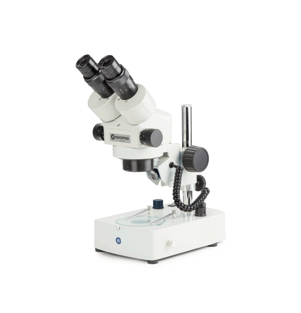 Microscope Euromex zoom gossissement de 7x à 45x