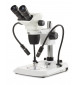 Stéréomicroscope binoculaire Zoom NexiusZoom bras LED Tête Nexius zoom standard