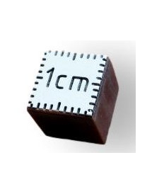 Cube échelle de comparaison 1cm