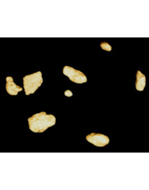 Aimant "gold magnet" petit