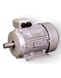 Moteur 0.50cv 2820 tpm