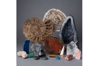 Une sélection de minéraux et de fossiles de notre magasin
