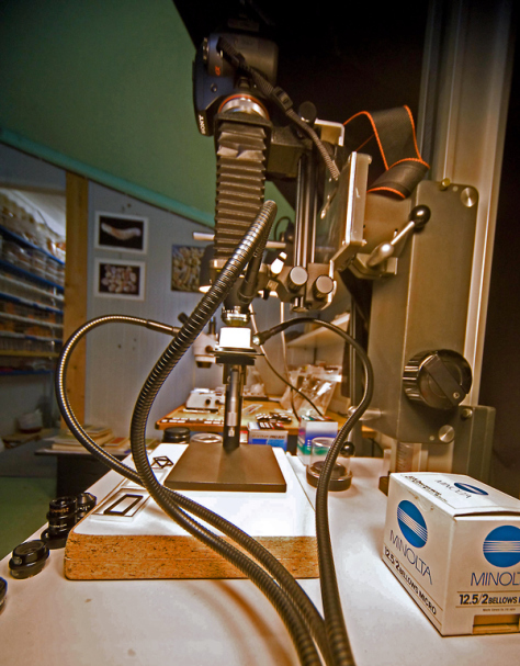 laboratoire microphotographie