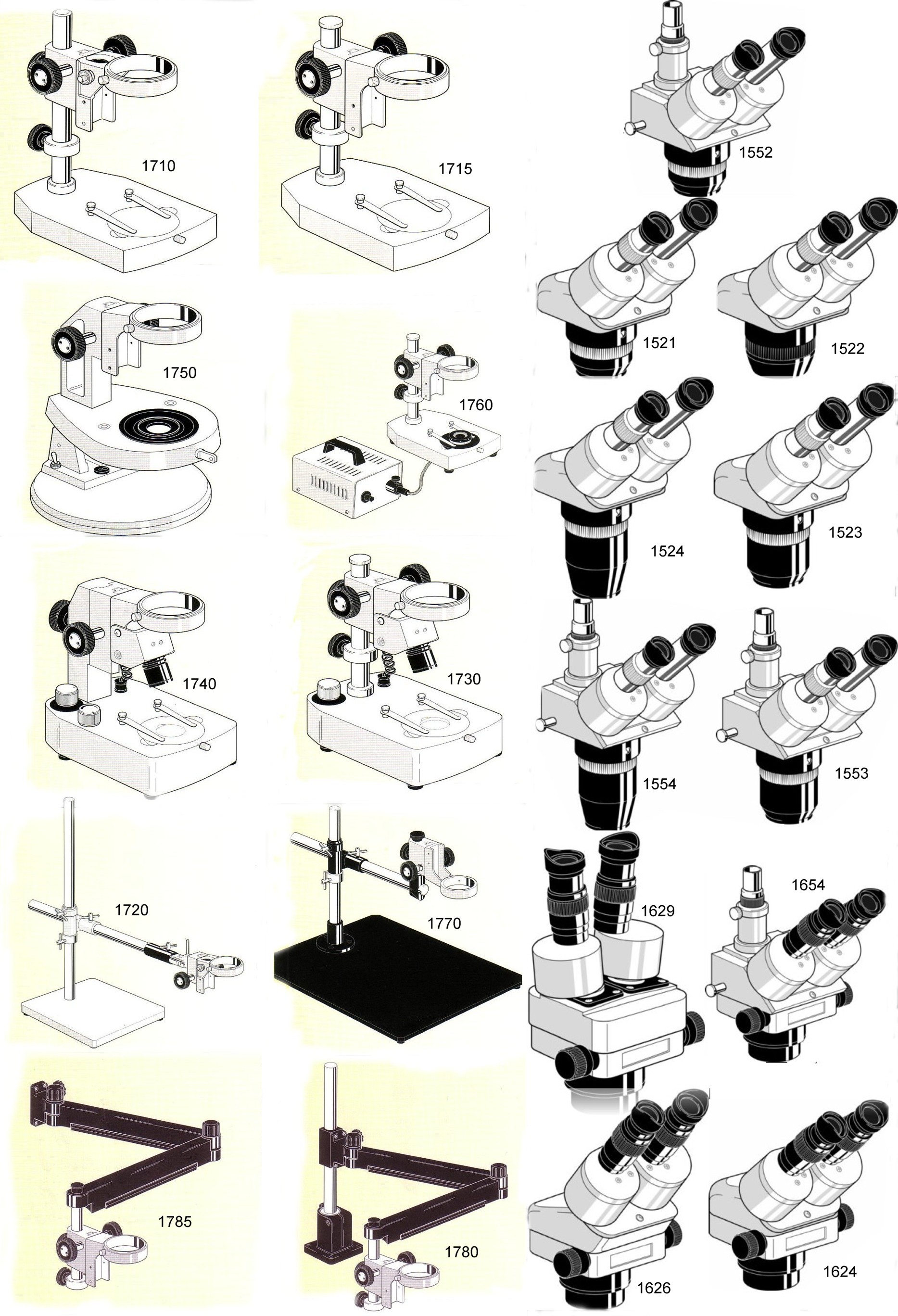 tete et pied microscope euromex